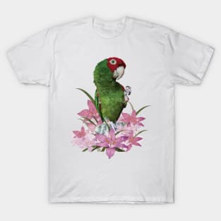 Red-masked Parakeet T-Shirt